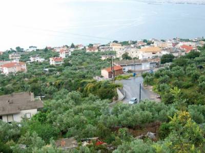 Νέο Δ.Σ. στον Πολιτιστικό και Αναπτυξιακό Σύλλογο Βέργας