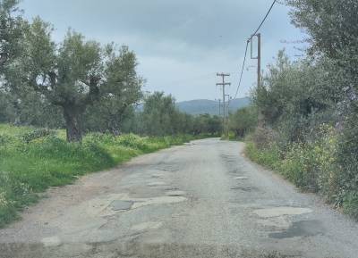 Ο Αναστασόπουλος για το Νέα Κορώνη - Φοινικούντα