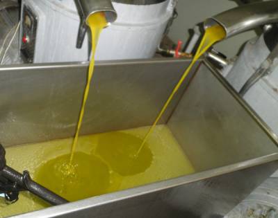 Εως 25.000 τόνους λάδι θα παράγει φέτος η Τριφυλία