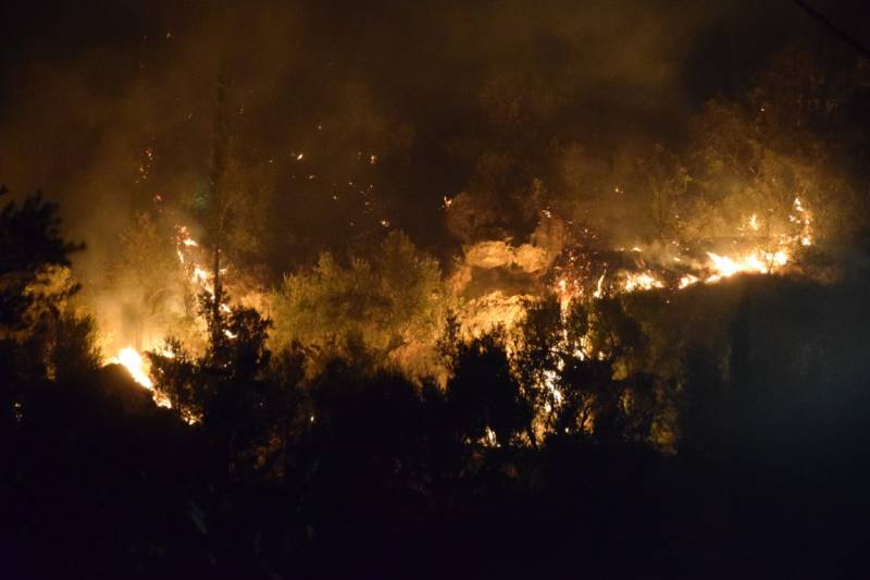 Μεσσηνία: Προφυλακίστηκε ο 30χρονος για τον εμπρησμό στην Άνθεια