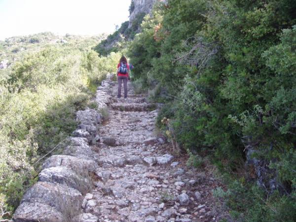 Ενημέρωση για τα αλώνια και τα καλντερίμια της Βέργας