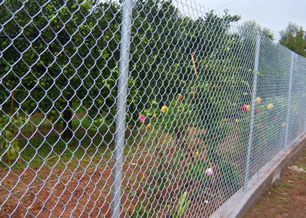 Εκλεψαν 150 σιδερένιους στύλους περίφραξης στην Τριφυλία