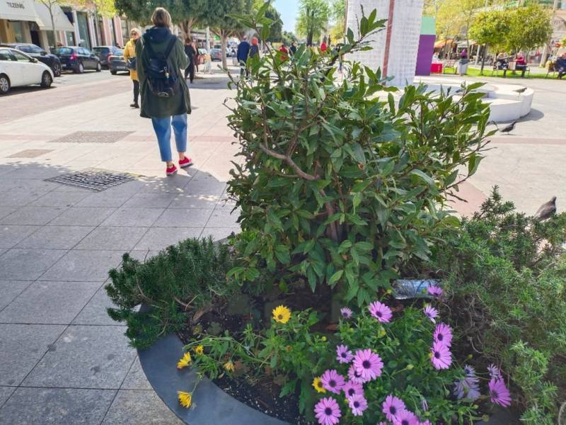 Κορυφαία αδιαφορία