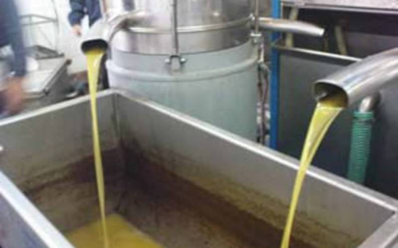 Μείωση του νερού στα ελαιοτριβεία της Τριφυλίας