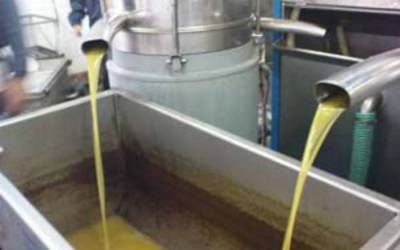 Μείωση του νερού στα ελαιοτριβεία της Τριφυλίας