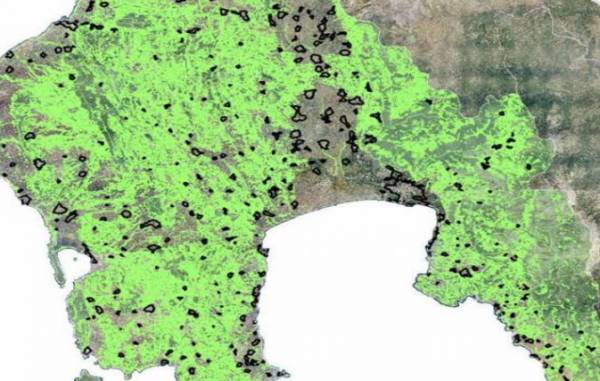 Σύσκεψη για τους δασικούς χάρτες της Μεσσηνίας