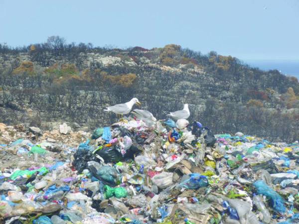Πρόστιμα σε Δήμους Τριφυλίας και Πύλου – Νέστορος για την διαχείριση απορριμμάτων