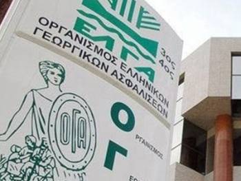 Χρηματικό βοήθημα 1.000 ευρώ σε 450 πολύτεκνες αγρότισσες από τον ΟΓΑ