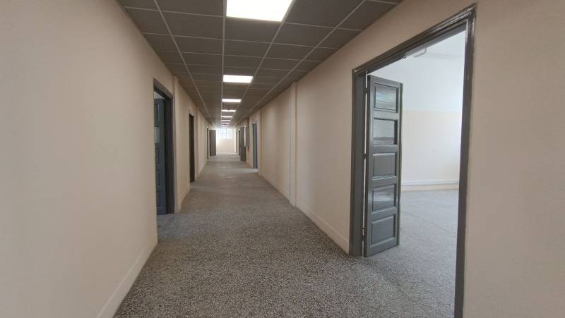 Καλαμάτα: 7 Νοεμβρίου η λειτουργία υπηρεσιών της Περιφέρειας στη σχολή Παπαφλέσσα (βίντεο)