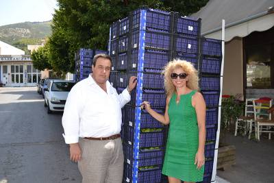 Διανομή μήλων σε τρίτεκνους στην Τριφυλία