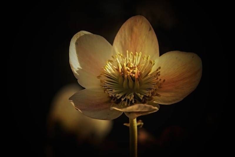 Τι λένε τα ζώδια σήμερα (2/10)