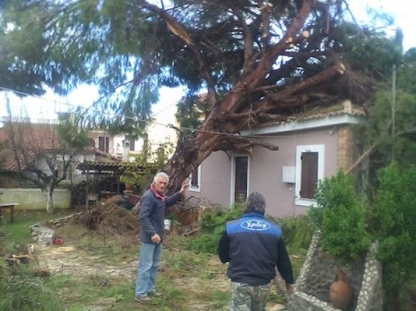Ανεμοστρόβιλος πέρασε από τα Φιλιατρά (φωτογραφίες)