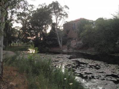 Ξεκινά ο βιολογικός στον Αγιο Φλώρο