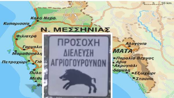 Απαραίτητη η σήμανση για διέλευση αγριογούρουνων στο επαρχιακό οδικό δίκτυο της Μεσσηνίας