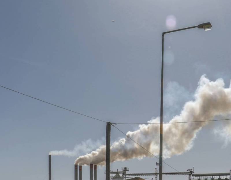 Μελέτη για ρύπανση από πυρηνελαιουργεία της Πελοποννήσου