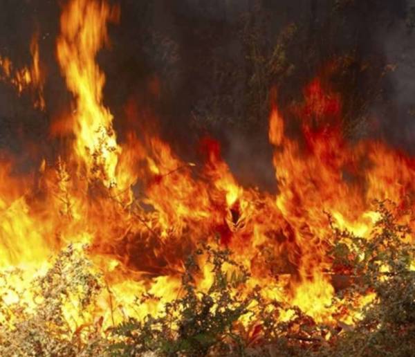 Κάηκαν 15 στρέμματα στον Αετό