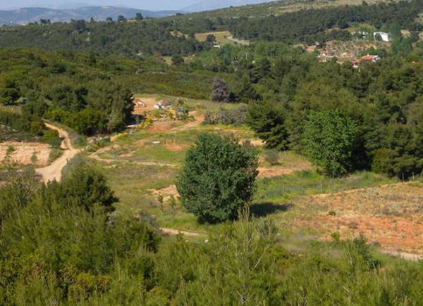 Ανάρτηση προσωρινών κτηματολογικών πινάκων σε περιοχές της Μεσσηνίας και της Λακωνίας