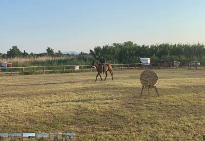 Επίδειξη δεξιοτήτων αλόγων στο Πλατύ