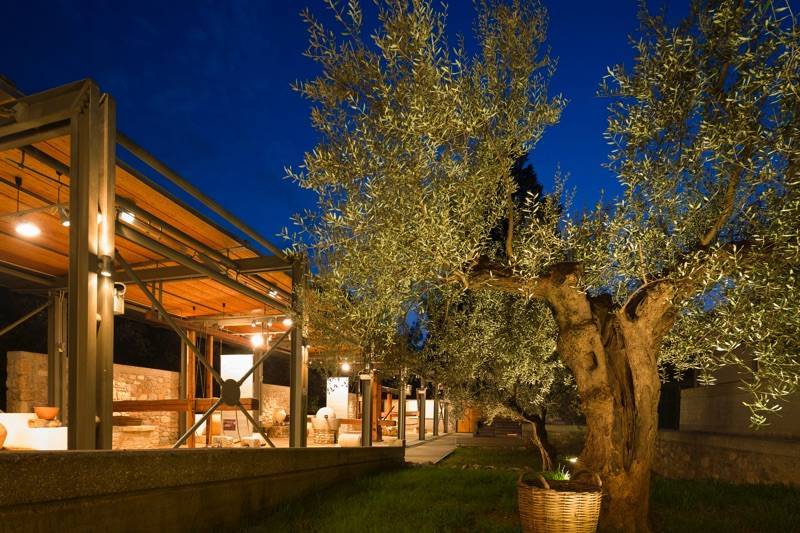 Κινηματογραφικό αφιέρωμα στον Πολ Νιούμαν