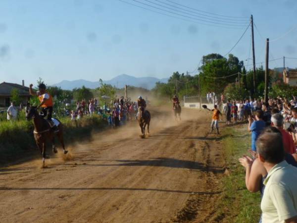 Ιπποδρομίες και φέτος ανήμερα το Δεκαπεντάυγουστο στο Πλατύ (βίντεο-φωτογραφίες)