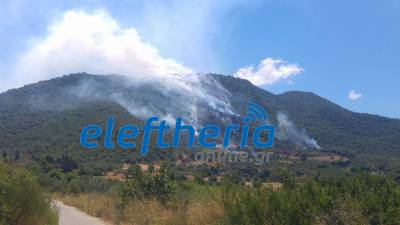 Σε εξέλιξη φωτιά στο Σουληνάρι (βίντεο)