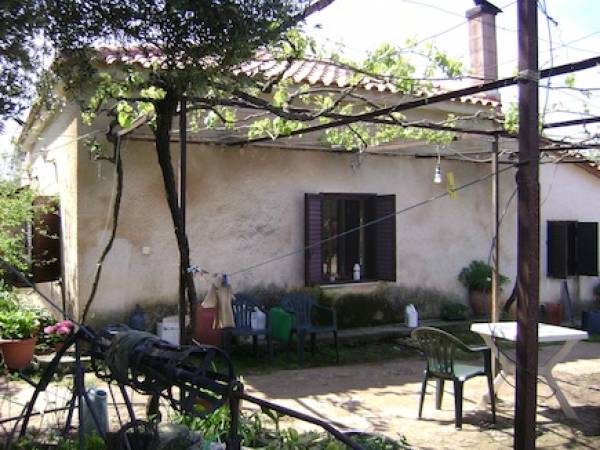 Συνελήφθη 71χρονος  για ληστεία στα Φιλιατρά