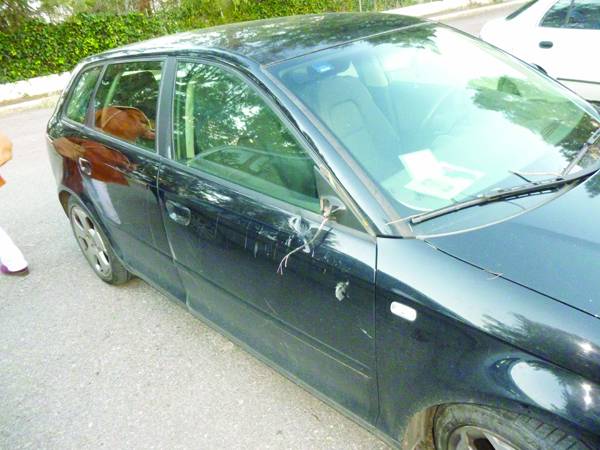 Ζημιές σε αυτοκίνητο από κλαδί ευκαλύπτου