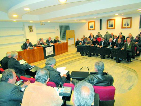 Κατά πλειοψηφία η πρόταση για διόρθωση των δασικών χαρτών στο Δημοτικό Συμβούλιο Μεσσήνης