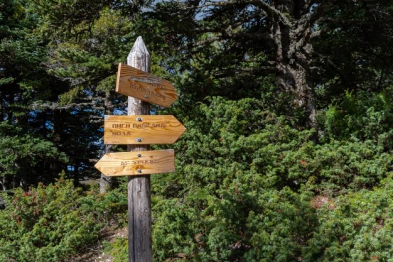 Μαρτυρία – σοκ για την επίθεση σε εθελοντές στην Πάρνηθα: “Ίσως πέσαμε σε διακίνηση ναρκωτικών” (βίντεο)