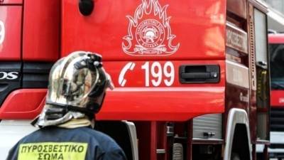 Φωτιά σε δασική έκταση στην περιοχή Άνω Δολιανά Τρίπολης