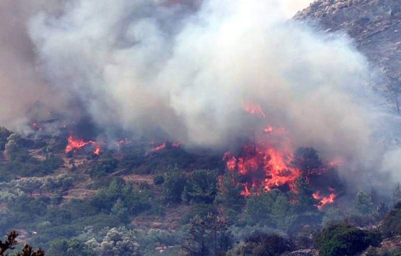 Μαίνονται οι φωτιές στη Χίο: Μεταβαίνει κλιμάκιο της ΔΑΕΕ (βίντεο)