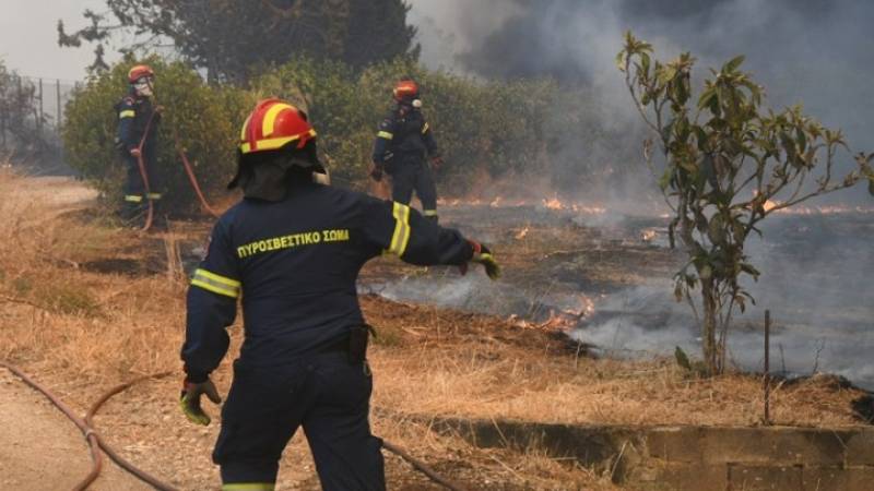 Φωτιά σε εξέλιξη στην περιοχή Ξηροχώρι Ηλείας