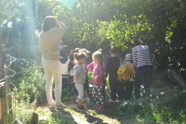 Κυριακές στο Αγρόκτημα Φοίφα