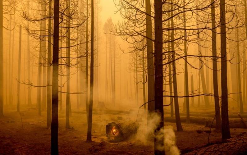 ΗΠΑ: Στάχτη έχουν γίνει σχεδόν 2 εκ. στρέμματα από την φωτιά Ντίξι