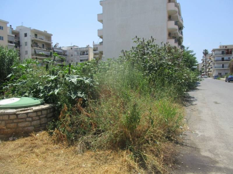 Οικόπεδα “ζούγκλες”