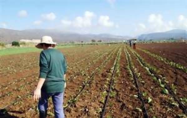 2,35 εκατ. ευρώ σε παραγωγούς από τα ΠΣΕΑ μέσω ΕΛΓΑ στις 30/12