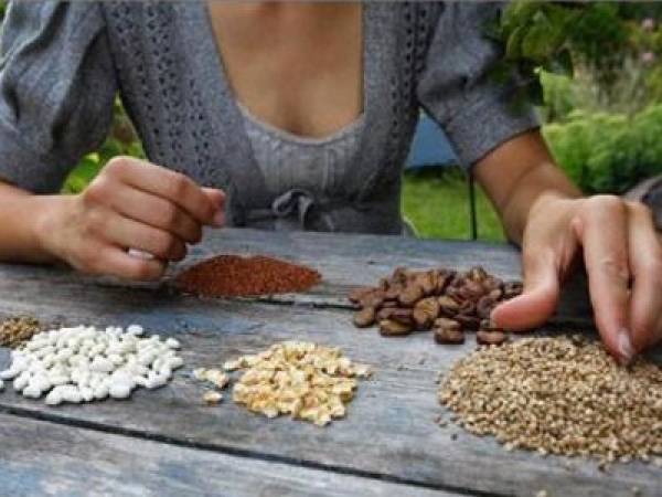 "3η Γιορτή σπόρων" στην Κοκκινόραχη Λακωνίας