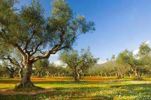 Μια ευκαιρία που δεν πρέπει να χαθεί