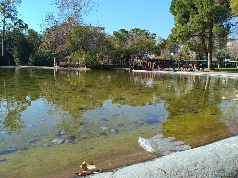 Σκουπίδια στο συντριβάνι