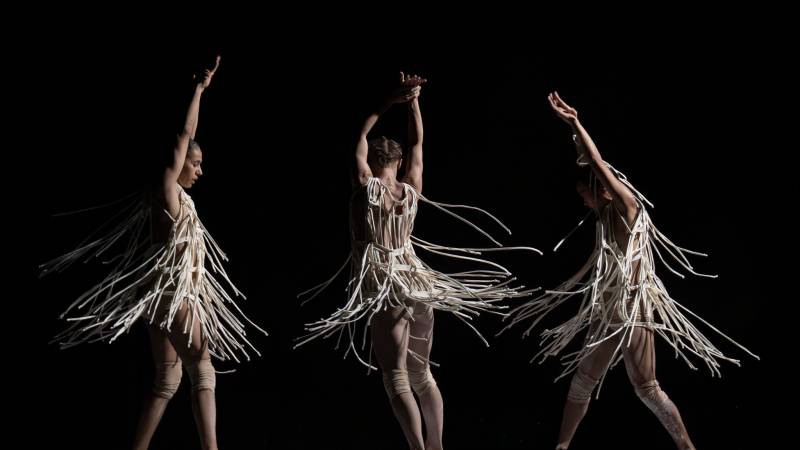 Ενισχύεται οργανωτικά το Διεθνές Φεστιβάλ Χορού Καλαμάτας - Προετοιμασία για το 32ο KDF