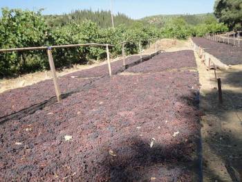 1,30 τιμή εκκίνησης για τη σταφίδα