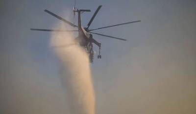 Φωτιά στα Ψαχνά Ευβοίας - Κινητοποιήθηκαν επίγειες και εναέριες δυνάμεις