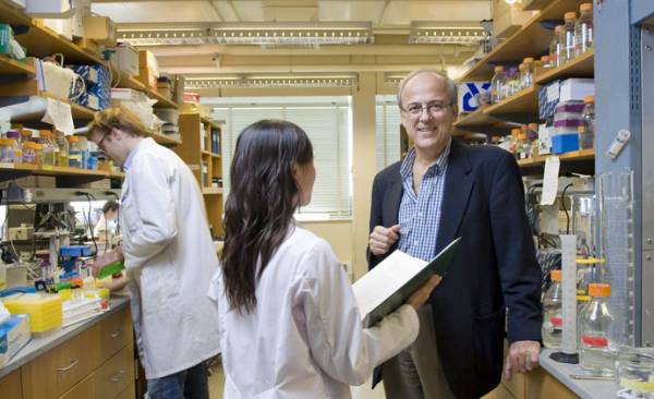 Ανακάλυψη του Μεσσήνιου Γρ. Στεφανόπουλου για παραγωγή υγρών βιοκαυσίμων