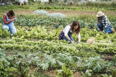 To ευρωπαϊκό «όραμα» για τη γεωργία και τα τρόφιμα και οι επιφυλάξεις