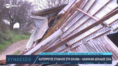 Ανεμοστρόβιλος σάρωσε την Πηνεία Ηλείας: Κατέρρευσε στάβλος – Χάθηκαν δεκάδες ζώα