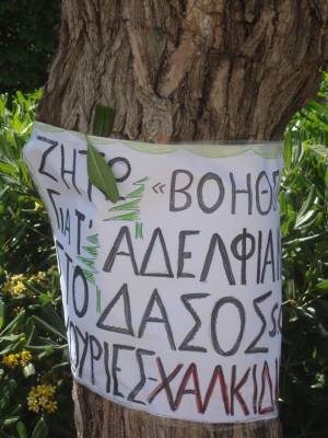 Βοήθεια για τα... αδέλφια τους στις Σκουριές