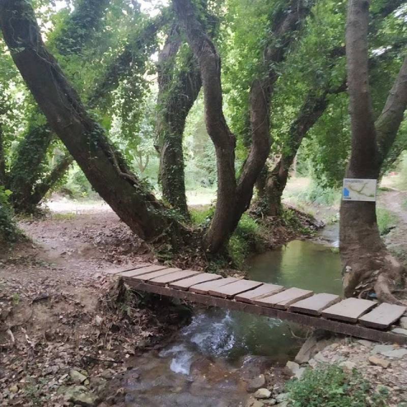 Φωτογραφικό οδοιπορικό στους καταρράκτες της Στενωσιάς