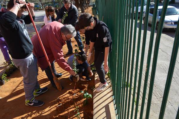 Φύτεψαν θάμνους και δέντρα στο 7ο Δημοτικό Καλαμάτας