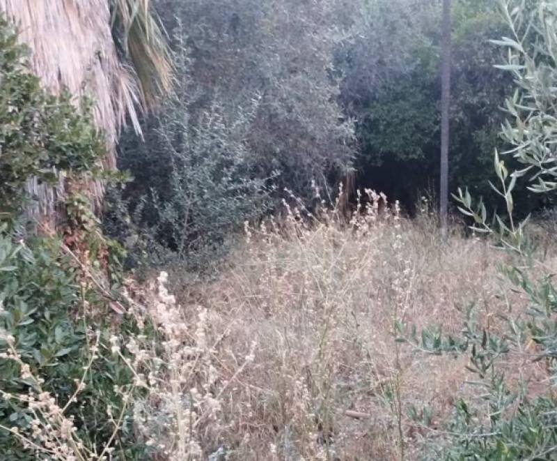 Επιβάλλεται να καθαριστεί το κτήριο του Γαλλικού Ινστιτούτου