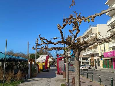 Ξεχάστηκαν οι κόκκινες κορδέλες